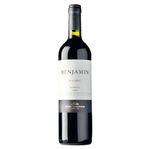 Malbec-BENJAMIN-Nieto-Tinto-750-cc-0