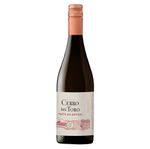 Vino-tinto-Atlantico-CERRO-DEL-TORO-750-ml-0