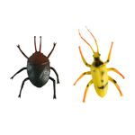 Insecto-1