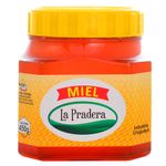 Miel-LA-PRADERA-450-g-0