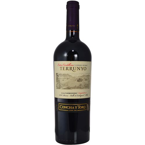 Tinto Carmenere Terrunyo