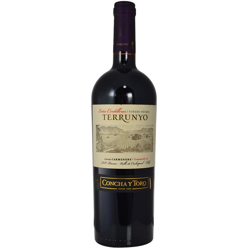 Tinto-Carmenere-Terrunyo-0