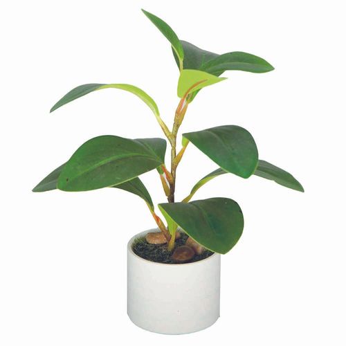 Planta artificial Peperomia 20 cm