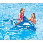 Delfin-152-cm-1