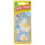 Perfumador-pino-LITTLE-TREES-Daisy-Fields-0