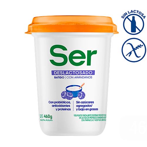 Yogur SER deslactosado arándanos 460 g