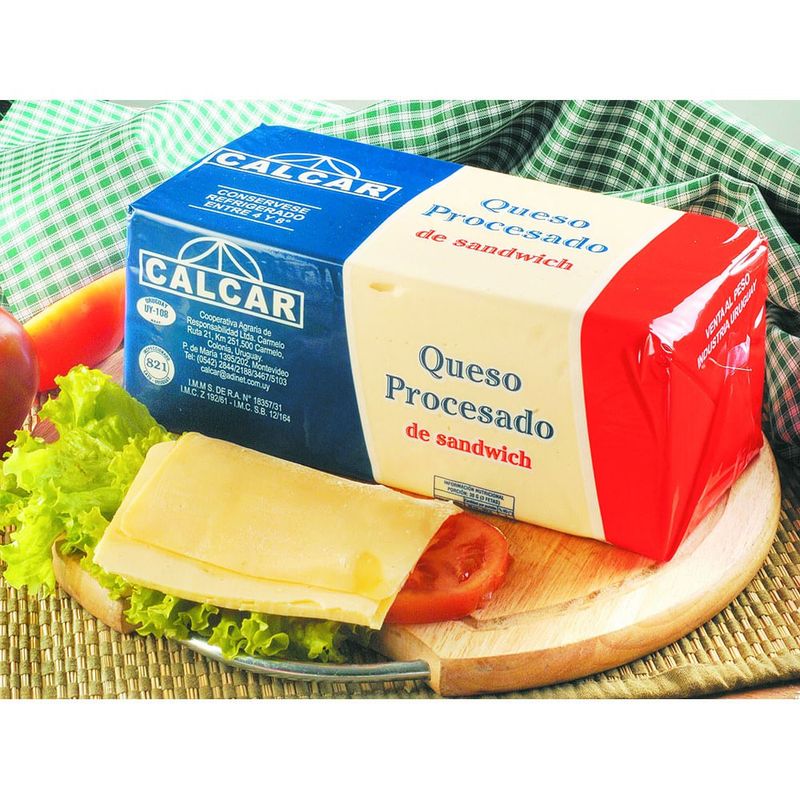 Queso-para-sandwich-CALCAR-x-50-g-0