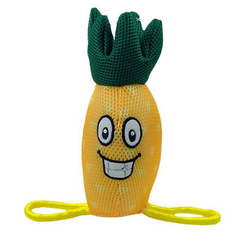 Juguete para mascota 10x25 cm