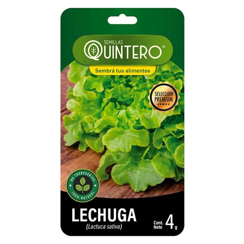 Sobre de semilla de lechuga mantecosa QUINTERO 4 g