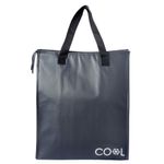 Bolso-conservador-35x17x4-cm-0