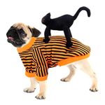 Disfraz-para-Perro-Gato-en-la-espalda-talles-LXL2XL-0