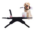 Disfraz-para-Perro-con-Cuchillo-en-la-nuca-talles-S-ML-0