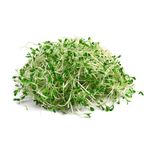 Brotes-de-alfalfa-100-g-0