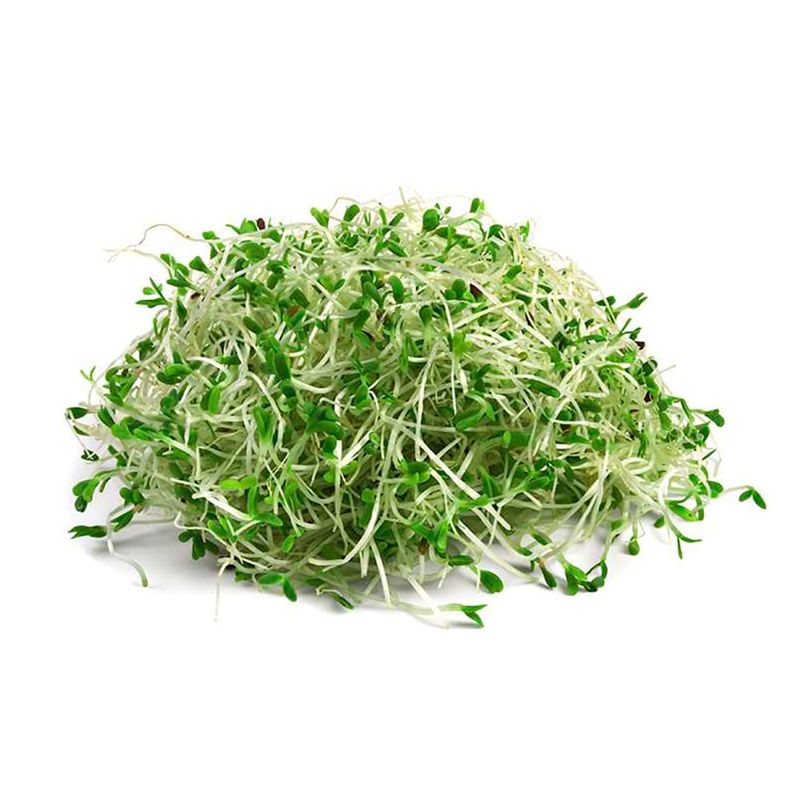 Brotes-de-alfalfa-100-g-0