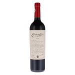 Vino-tinto-Syrah-Escorihuela-GASCON-750-ml-0