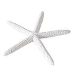 Estrella-de-Mar-Decorativa-0