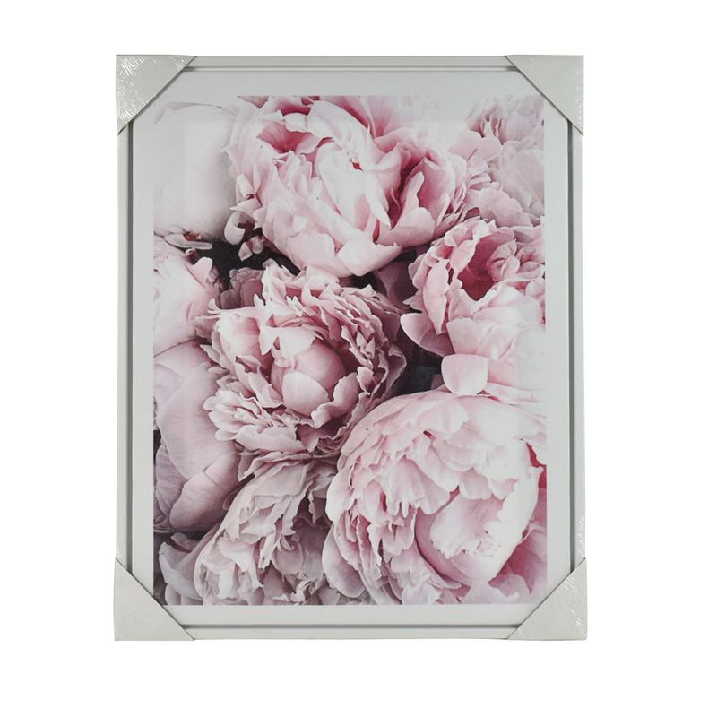 Laminas-con-marco-40x50-cm-Flores-0