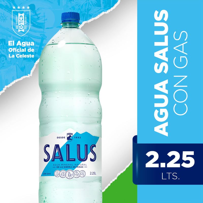 Agua-SALUS-con-gas-225-L-1