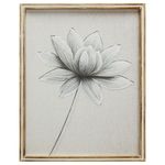 Lamina-con-marco-40x505-cm-Flores-0