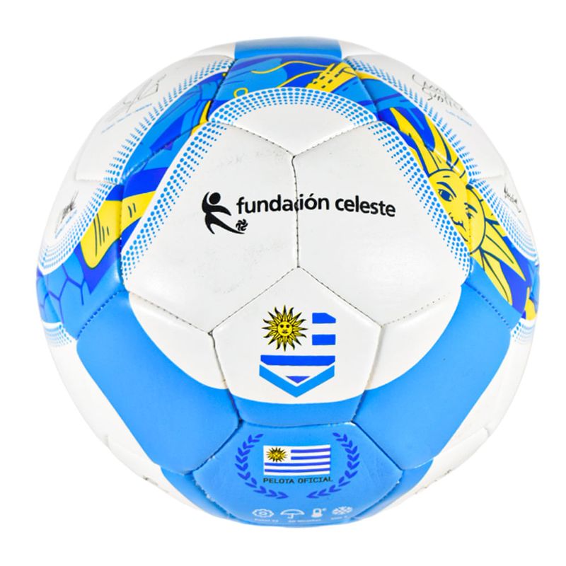 Pelota-Futbol-Nº5-Fundacion-Celeste-0