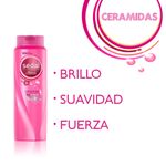 Shampoo-SEDAL-ceramidas-650-ml-3