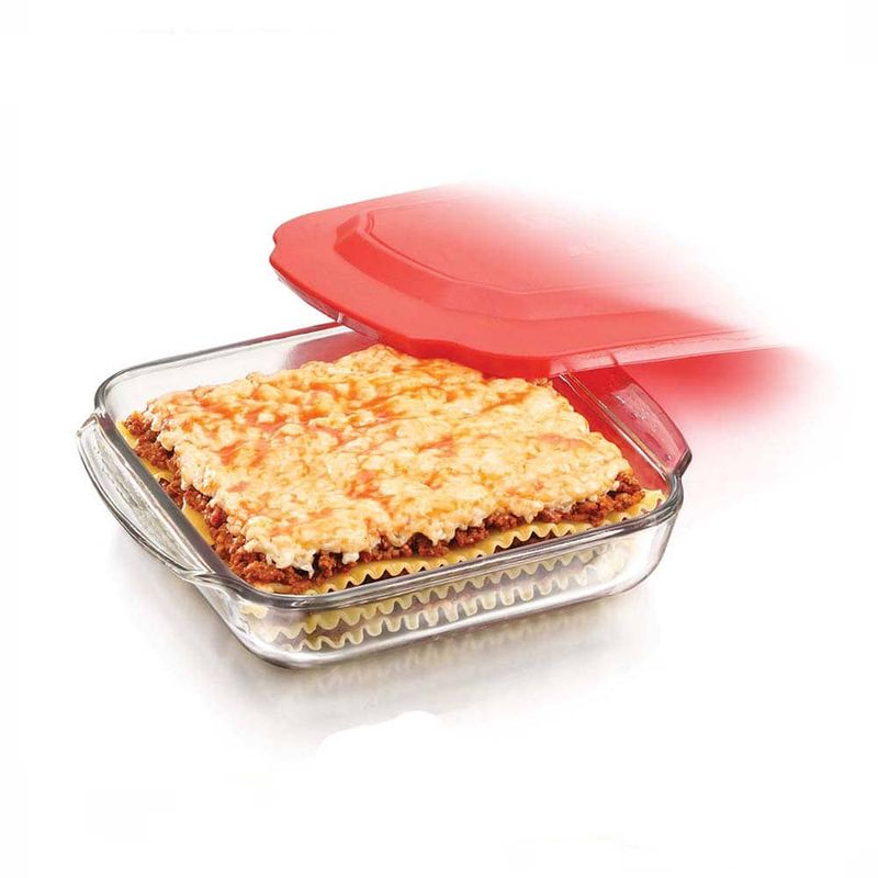 Asadera-cuadrada-con-tapa-plastica-0