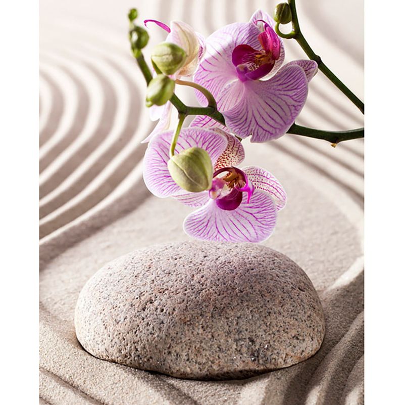 Lamina-40x50-cm-Orquidea-0