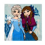 Toalla-social-infantil-velour-30x30-cm-Frozen-0