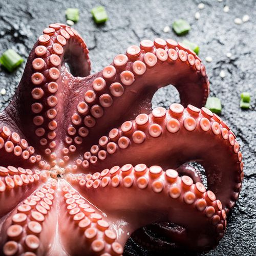 Pulpo español x 1 kg aprox.