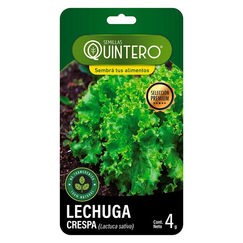 Sobre-de-semilla-de-lechuga-crespa-QUINTERO-4-g-0