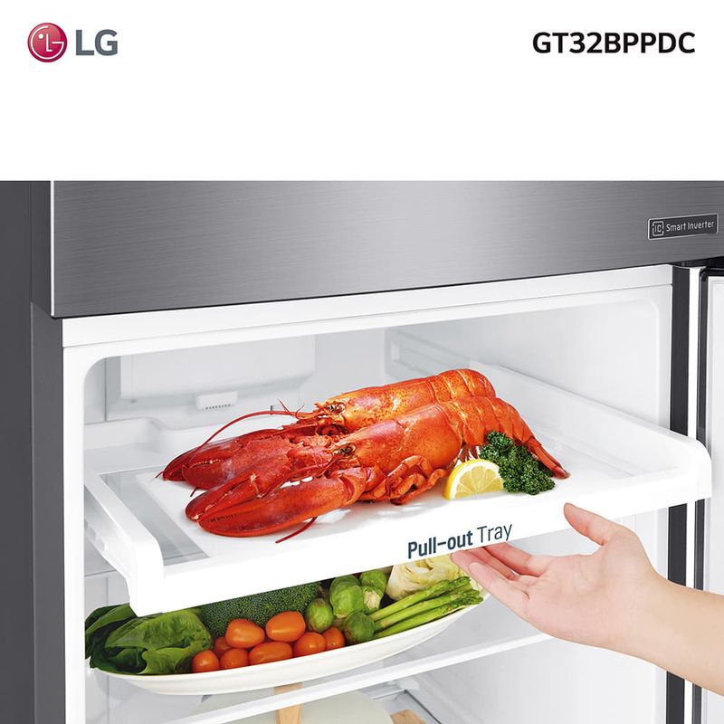 Heladera-LG-Omega-2-GT32BPPDC-312-L-inverter-5