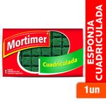 Fibra-Esponja-MORTIMER-Cuadriculada-0