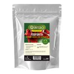 Fosforita-QUINTERO-1-kg-0