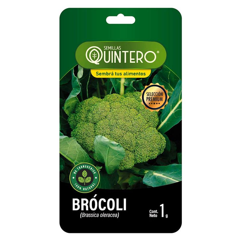 Sobre-de-semilla-de-brocoli-QUINTERO-1-g-0