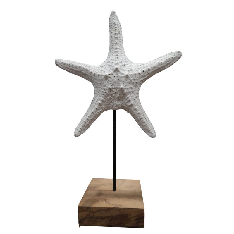 Estrella-de-mar-blanca-con-soporte-0