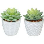 Maceta-en-cemento-con-suculenta-7x10-cm-surtida-0