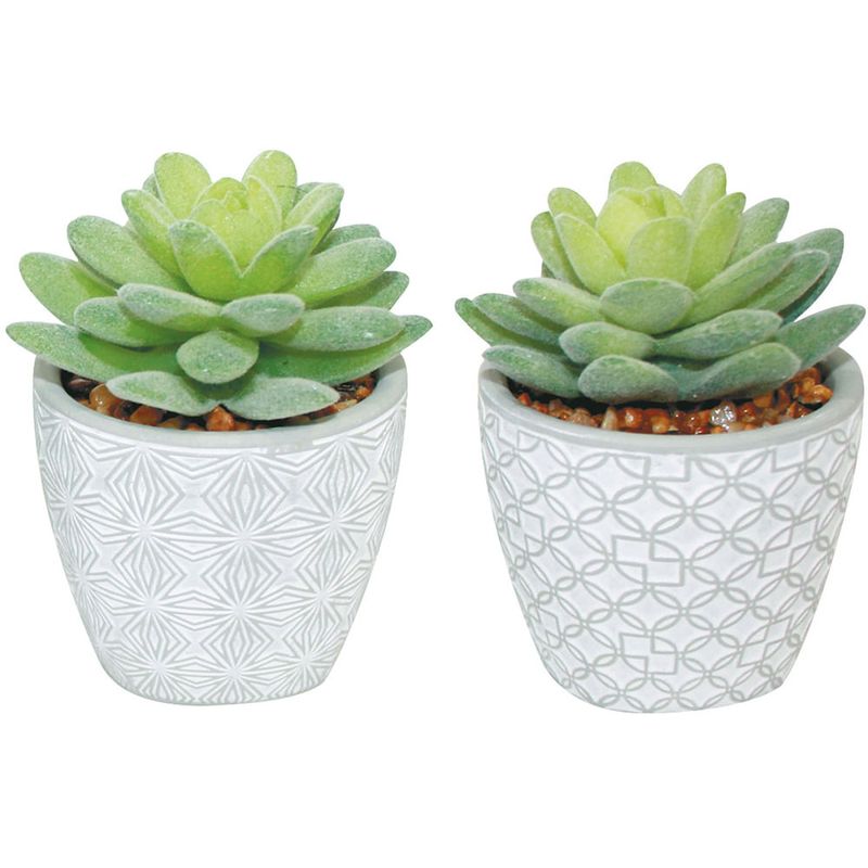 Maceta-en-cemento-con-suculenta-7x10-cm-surtida-0