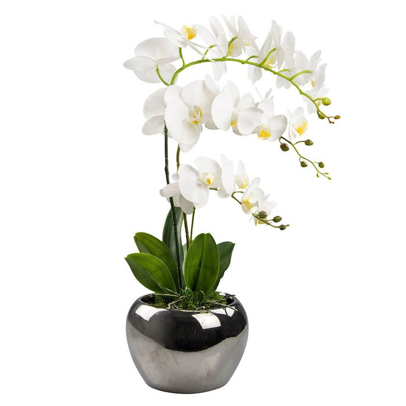 Orquidea-con-maceta-68-cm-0