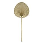Hoja-de-Palma-30x32-72-cm-0