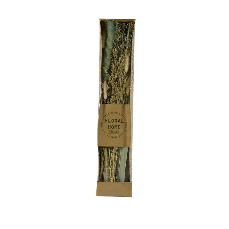 Ramas-Secas-Deco-Natural-Surtido-1