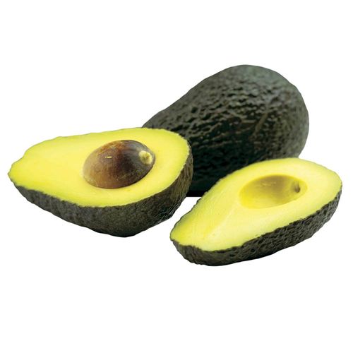 Palta HASS Chilena x un.