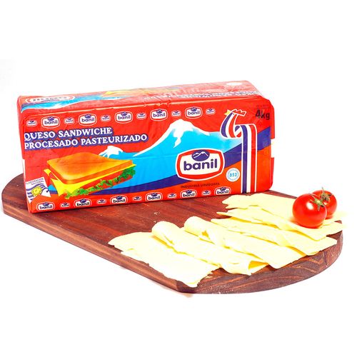 Queso para sandwich BANIL procesado x 50 g