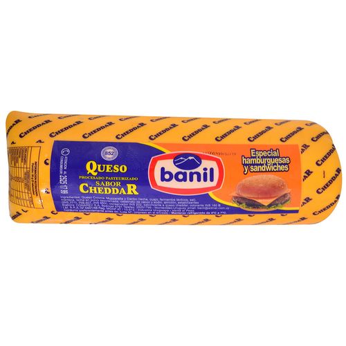 Queso Cheedar BANIL x 50 g