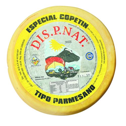 Queso Parmesano DISPNAT especial para picada x 50 g