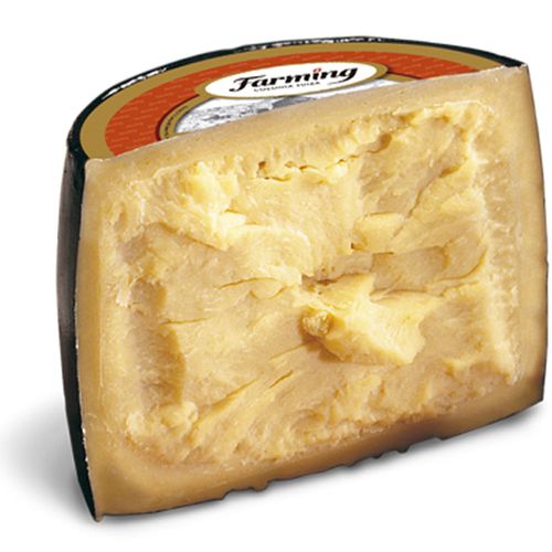 Queso parmesano FARMING x 50 g