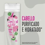 Shampoo-SEDAL-Carbon-Activado---Peonias-650-mlvvvvvvvvvvvvvvvv-3