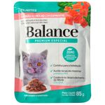 Alimento-BALANCE-gato-Filhote-salmon-85-g-0