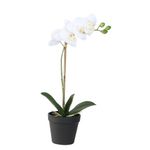 Planta-Artificial-con-Maceta-55-cm-Orquidea-0