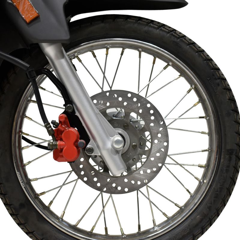 Moto-ZANELLA-ZB-110-Gris-Automatica-4