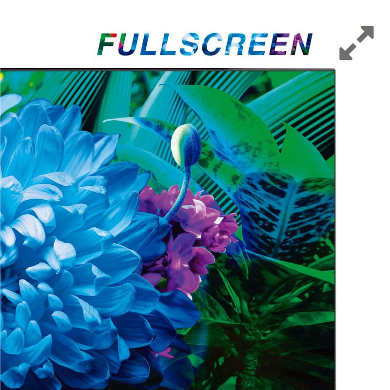 TV-Led-TCL-40--Mod-40S65A-3